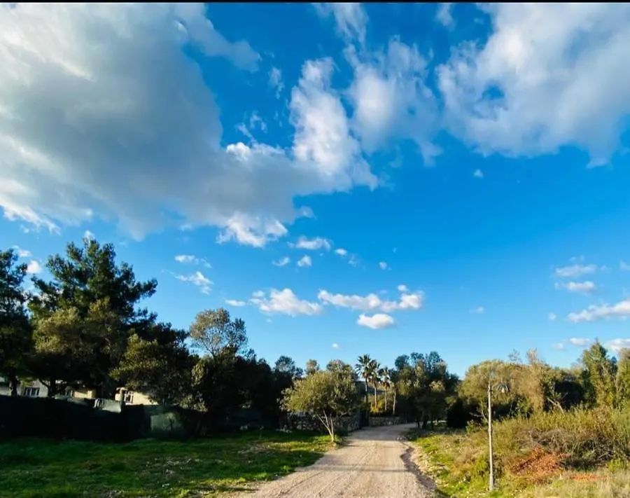 Millionswood Daire Çeşme