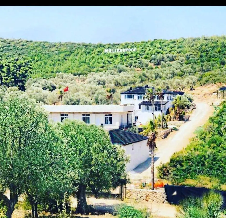 Millionswood Daire Çeşme 0*,