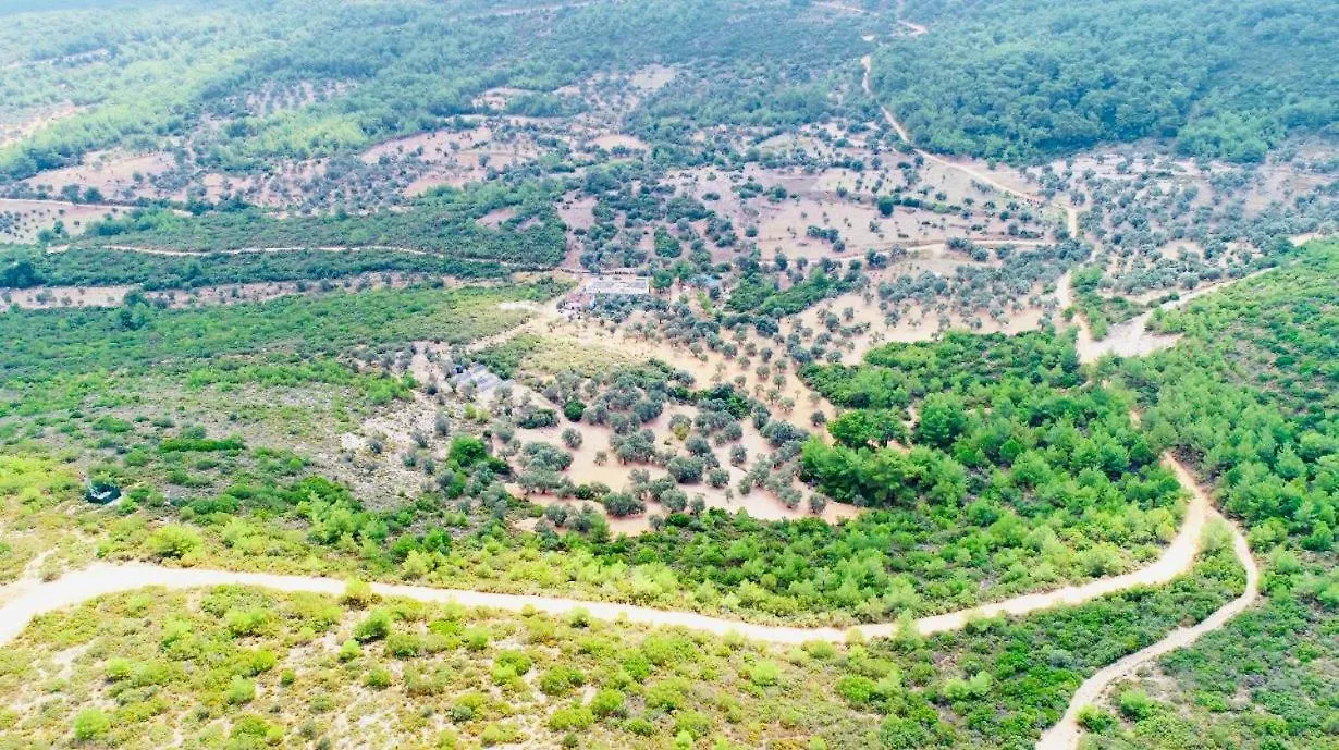 Millionswood Daire Çeşme